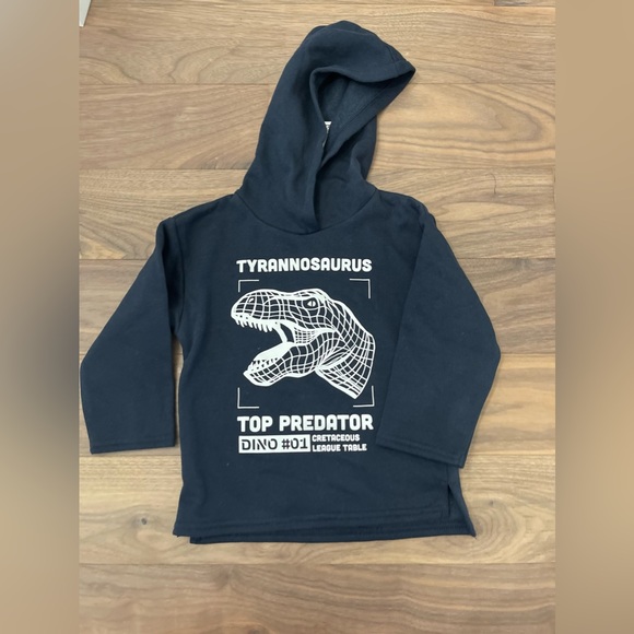 H&M Other - NWT 2T Navy Dinosaur Hoodie